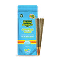 Hidden Hills Club mini mart pre roll - 2 pre rolls
